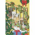 Pipsqueak Productions Mix Dog With Cat Holiday Boxed Cards C964